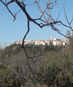 Camino-2