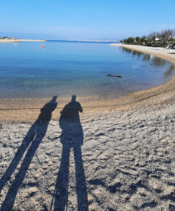 Camino-3