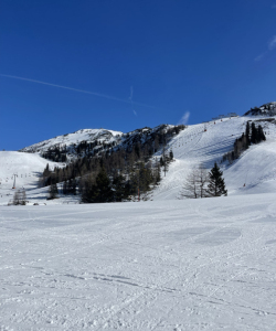IMG-8863