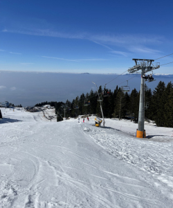 IMG-8864