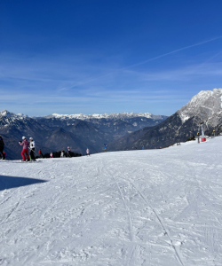 IMG-8869