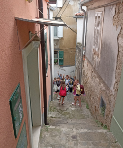 IMG_20240612_152419_1