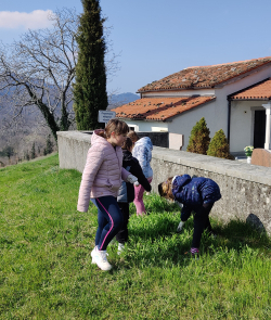 IMG20250320102936