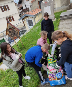 IMG20250417093317