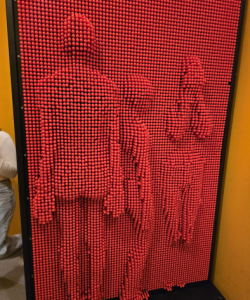 20250131_1214350
